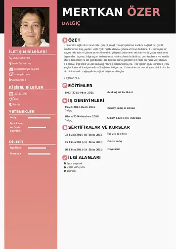 Dalgıç CV Örnekleri cv indir